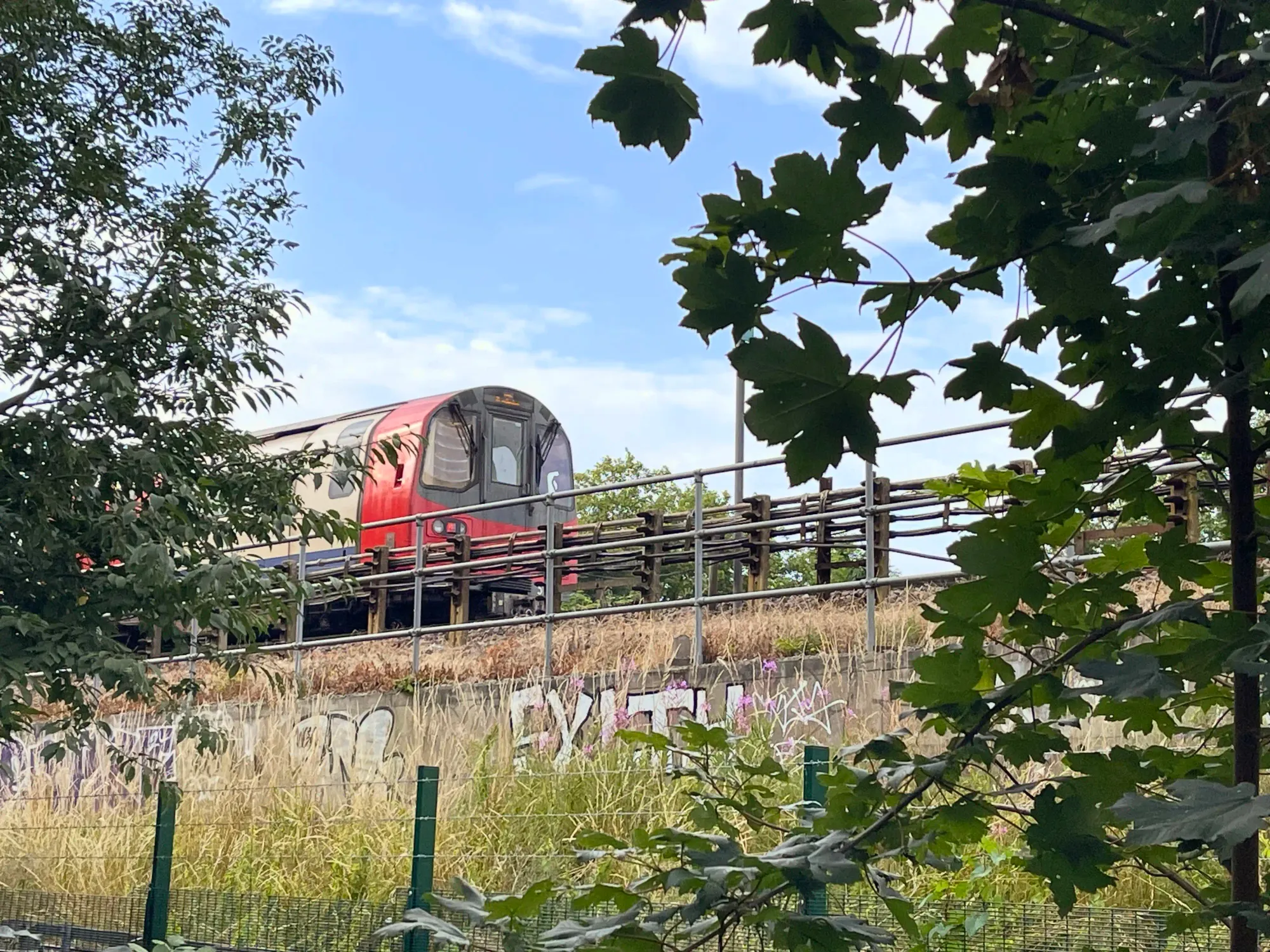 A train bound for central London just south of the station, showing wild grass & trees