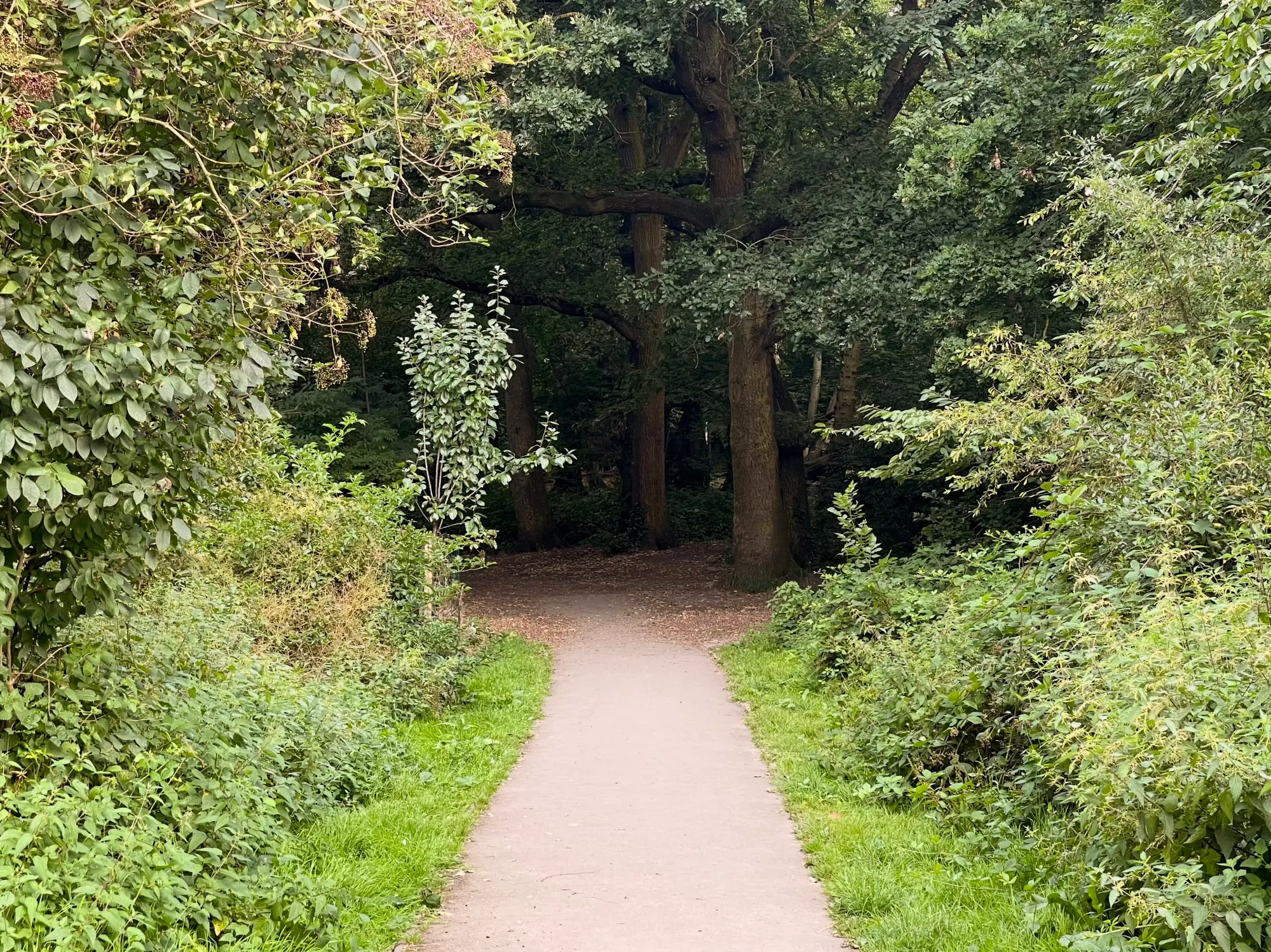 Entering Cherry Tree Wood close to East Finchley station