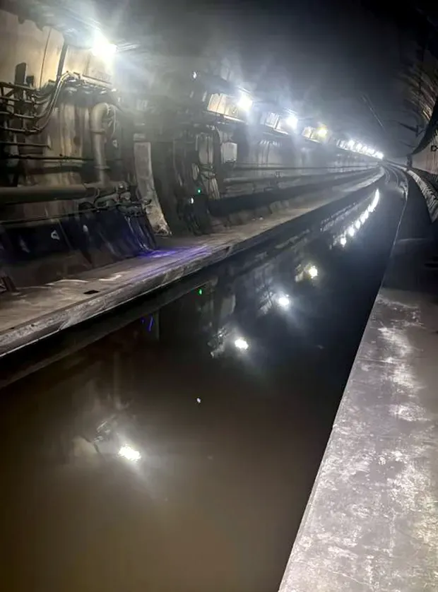 New Year's Friday Reads – 2 January 2024