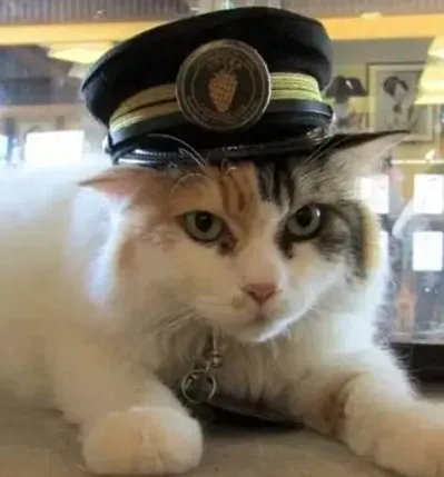 Monday's Friday Reads for 12 January