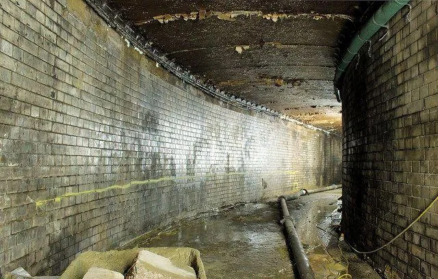 Monday's Friday Reads - 16 August 2021