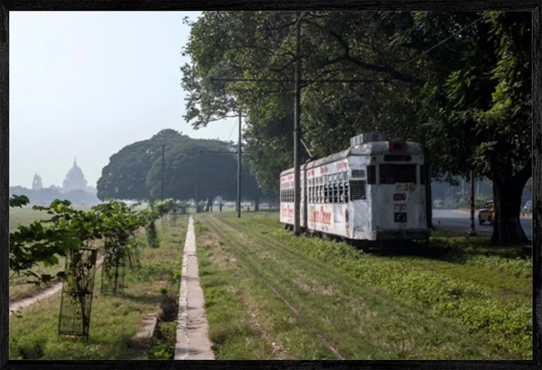Old Kolkata tram at Maidan in grassy tram reservation with trees and domed building in background