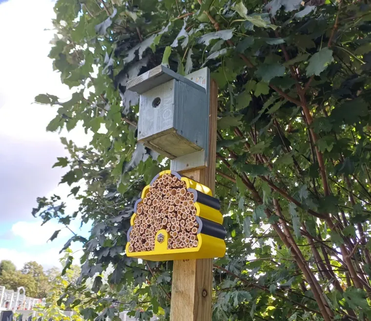 Friday Reads – 20 September 2024