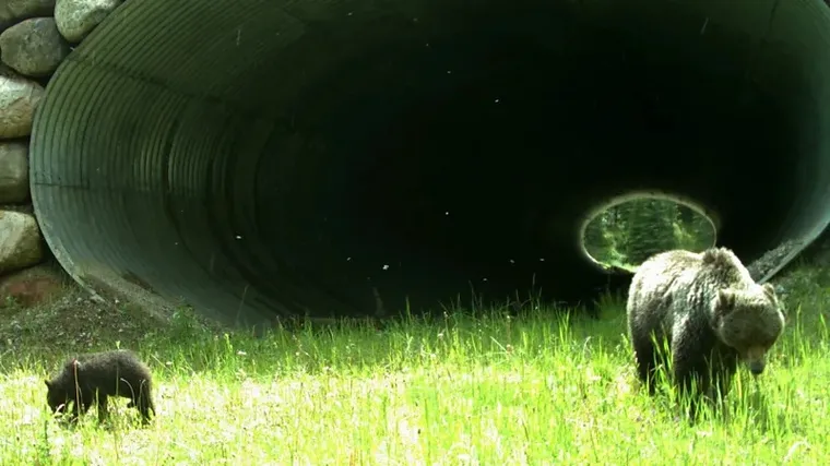 Friday Reads – 31 May 2024