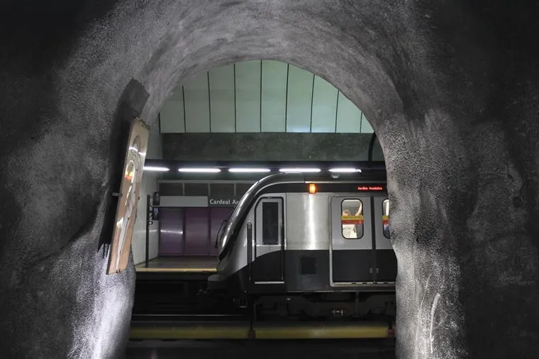 Friday Reads - 6 August 2021