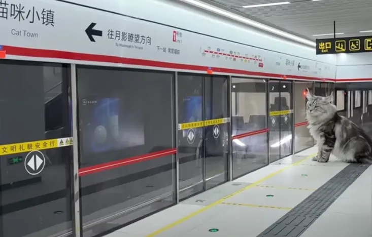 Monday’s Friday Reads – 18 August 2025