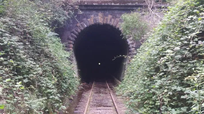 Friday Reads – 24 October 2025