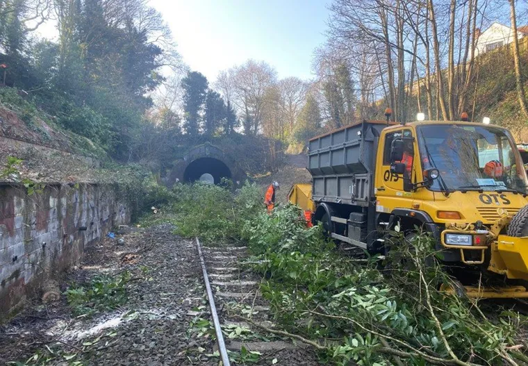 Friday Reads for 20 March