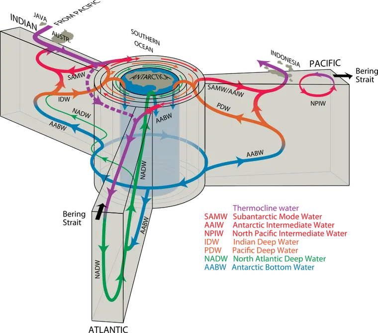 Overturning circulation currents in 3 dimensions, in 4 axes, from southern ocean perspective. Talley 2013